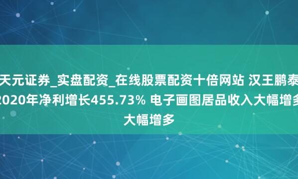 天元证券_实盘配资_在线股票配资十倍网站 汉王鹏泰2020年净利增长455.73% 电子画图居品收入大幅增多