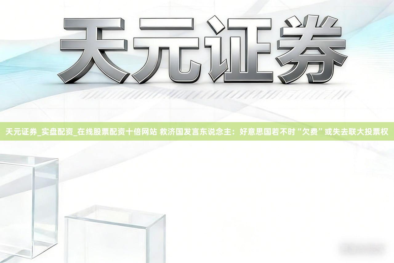 天元证券_实盘配资_在线股票配资十倍网站 救济国发言东说念主：好意思国若不时“欠费”或失去联大投票权