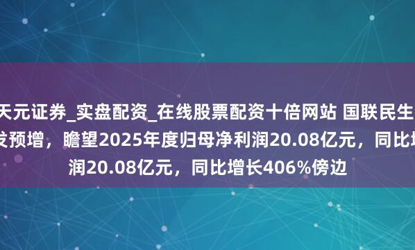 天元证券_实盘配资_在线股票配资十倍网站 国联民生(601456.SH)发预增，瞻望2025年度归母净利润20.08亿元，同比增长406%傍边